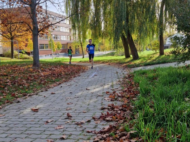 35. Glauchauer Herbstlauf